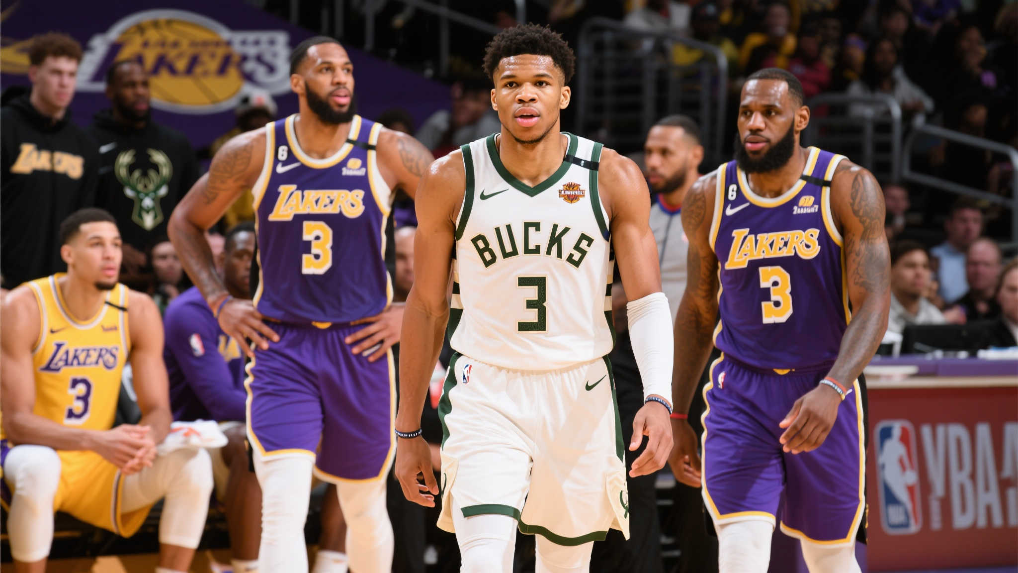 总的来看 总的来看