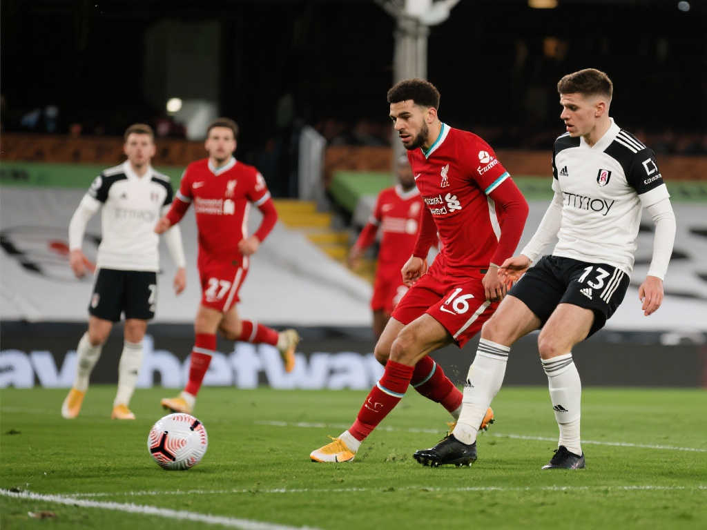 的引进到场 的引进到场