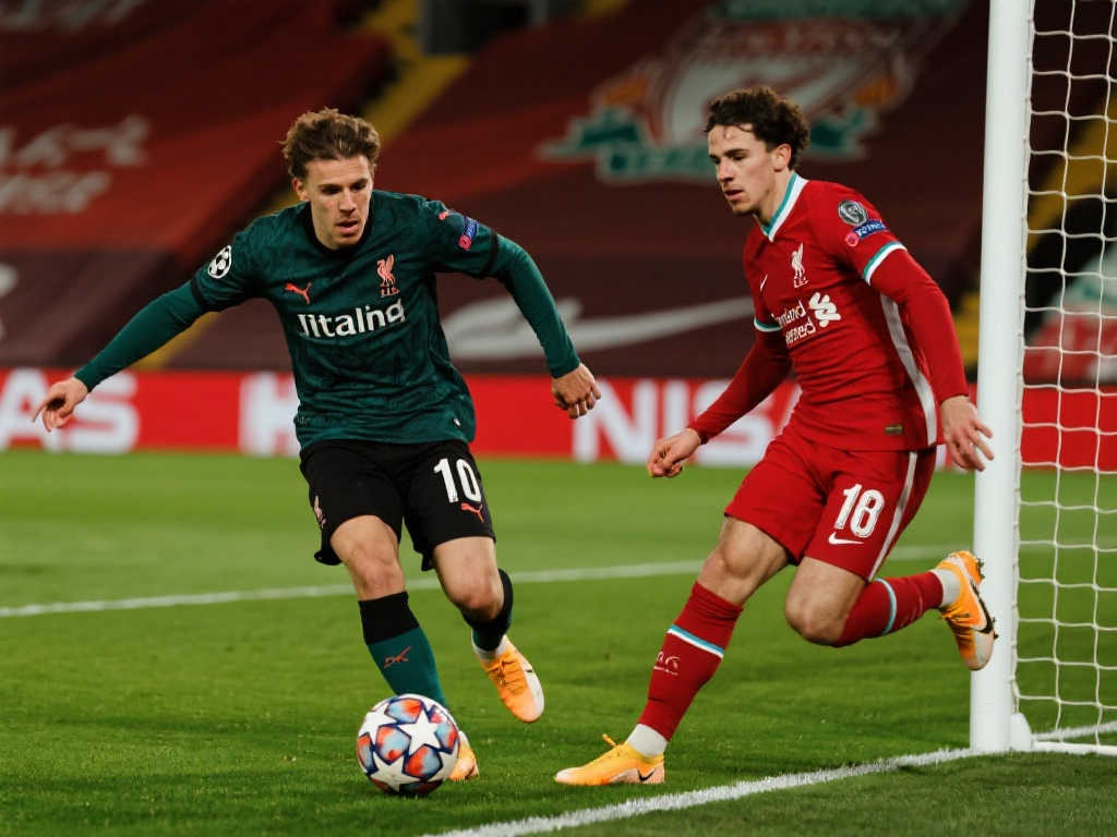 增加自身的 增加自身的